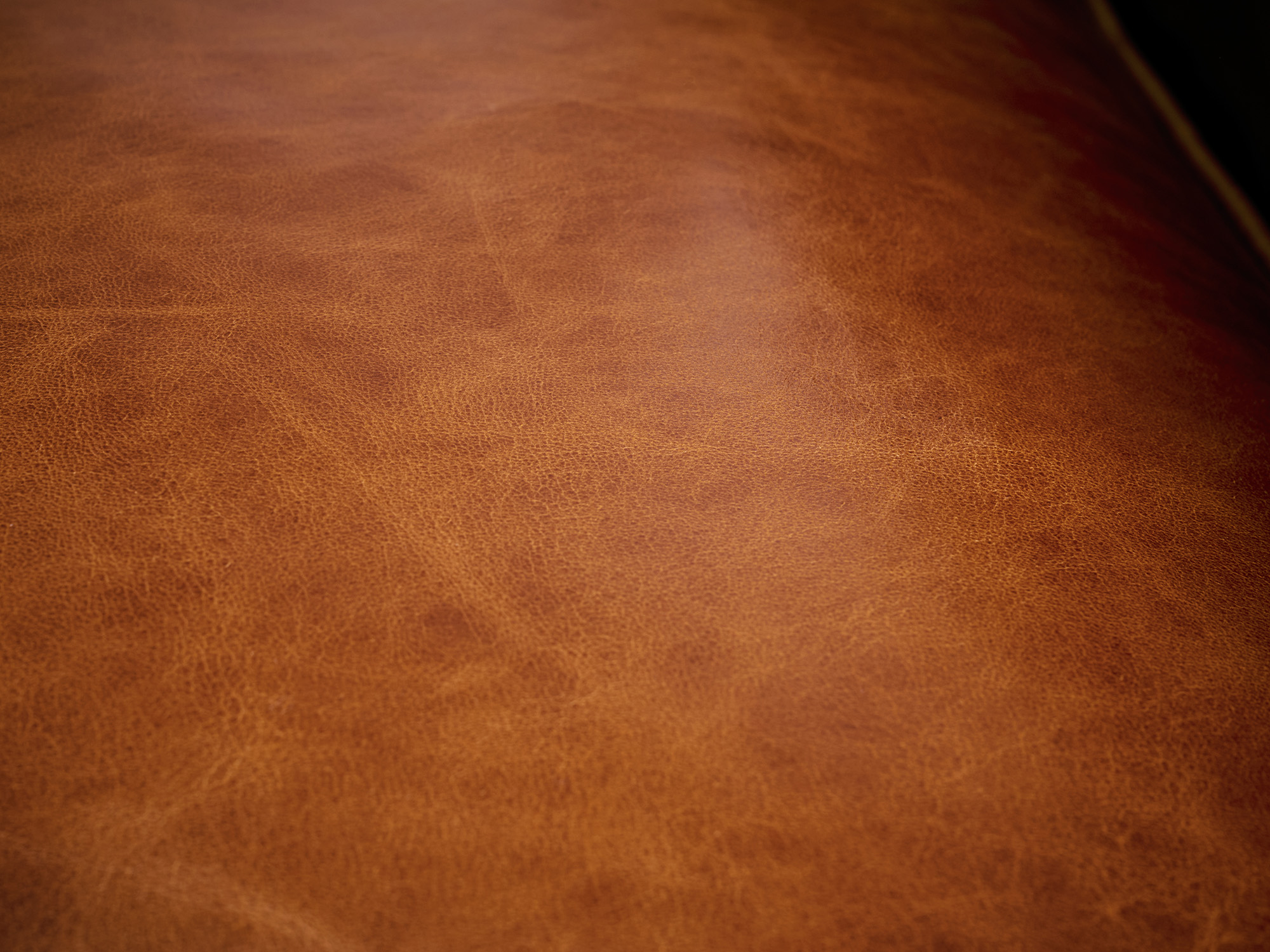 In stock - Atlas Leather Chair in Mont Blanc Caramel Leather - One only - detail 1